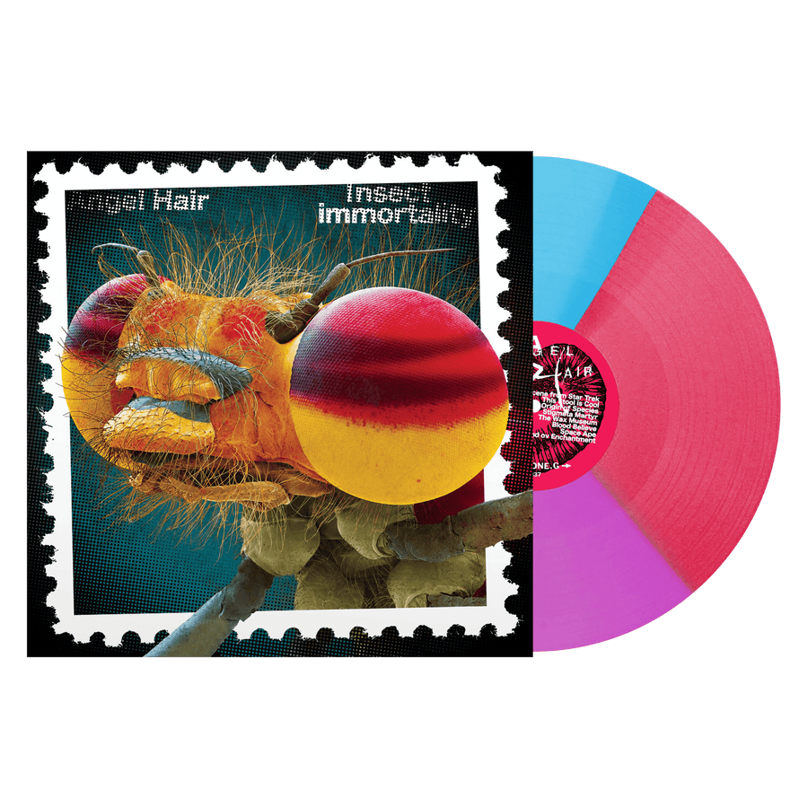 Angel Hair "Insect Immortality"