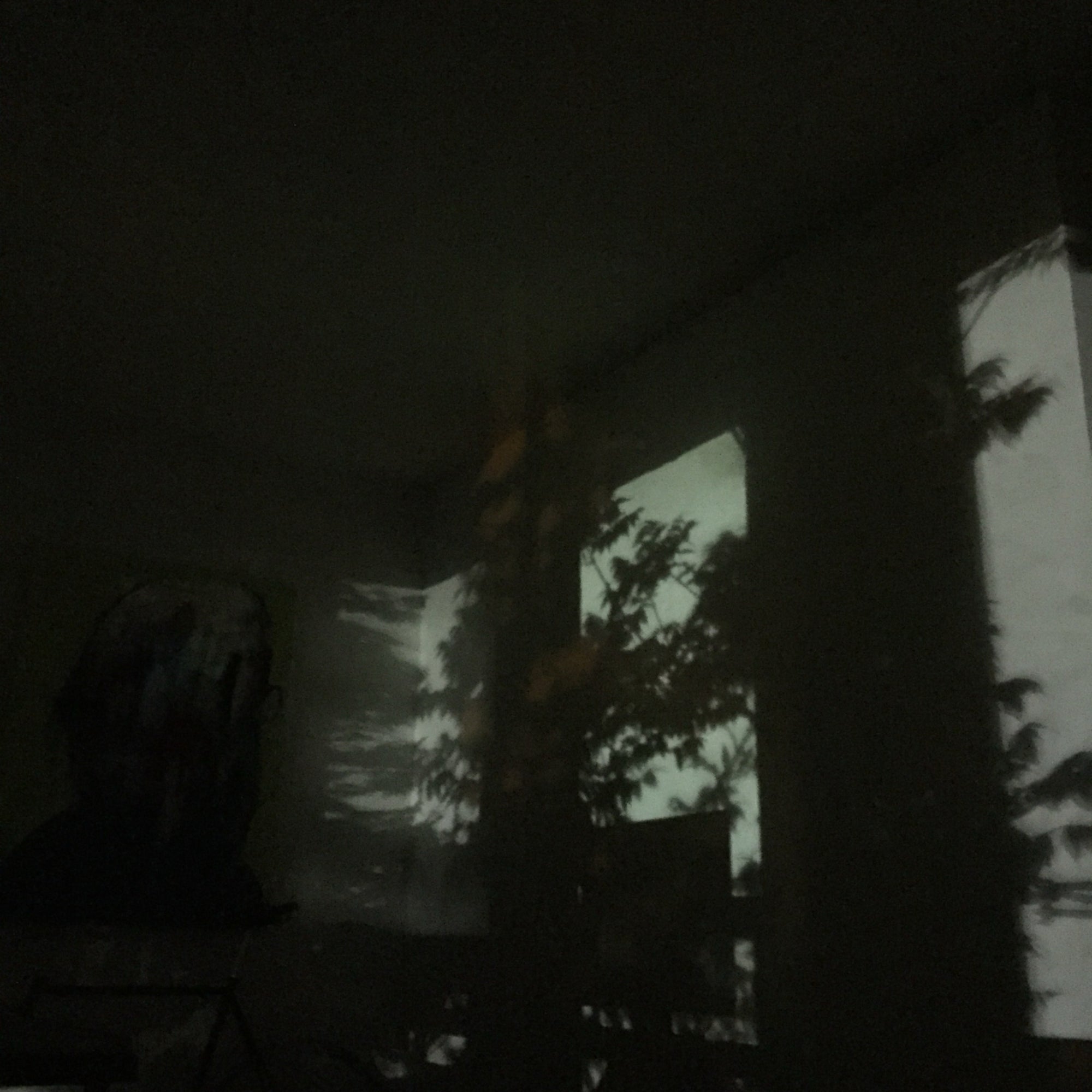 Chastity "Feeling Loved Feeling Fucked"