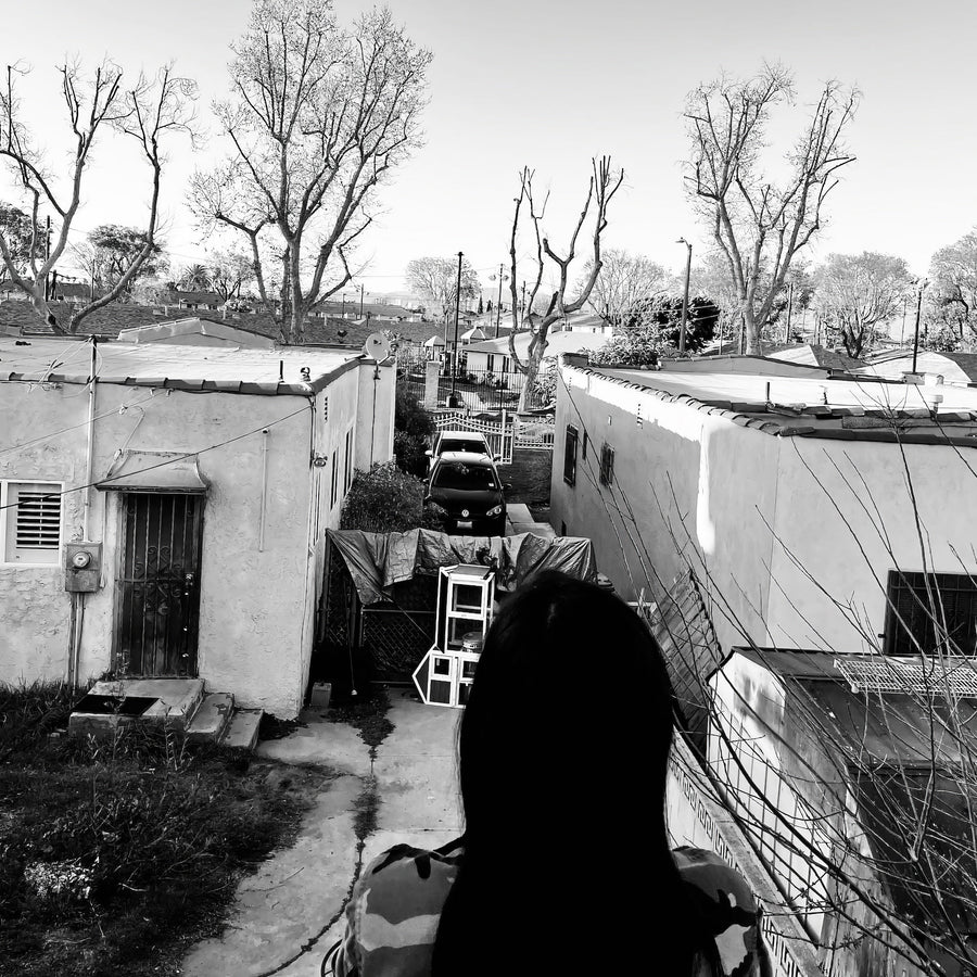 Generacion Suicida "Regeneracion"