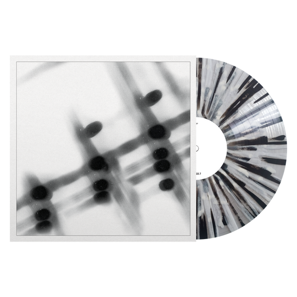 GregorSamsa-40135-Vinyl-