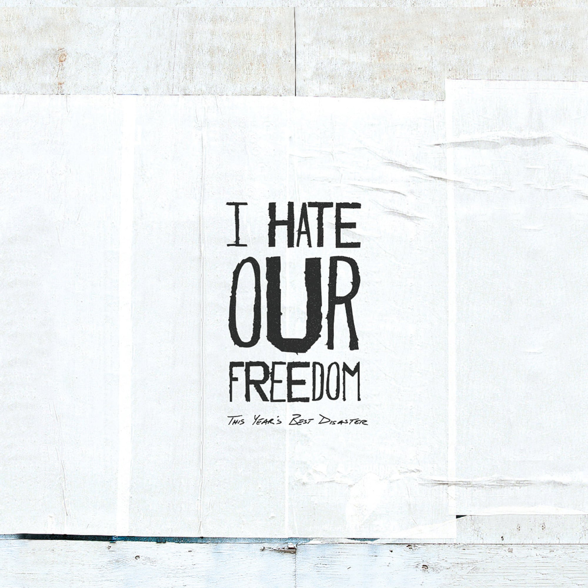 I Hate Our Freedom "This Year's Best Disaster"
