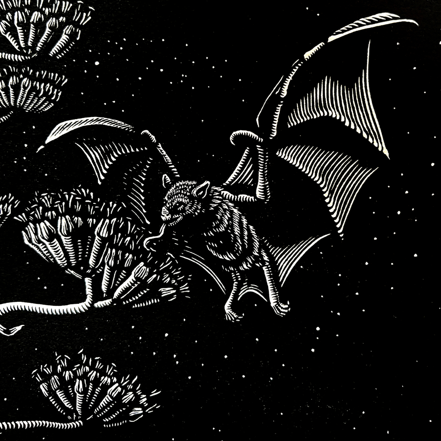 Mazatl "MurciΓ©lago Magueyero" Linocut Print