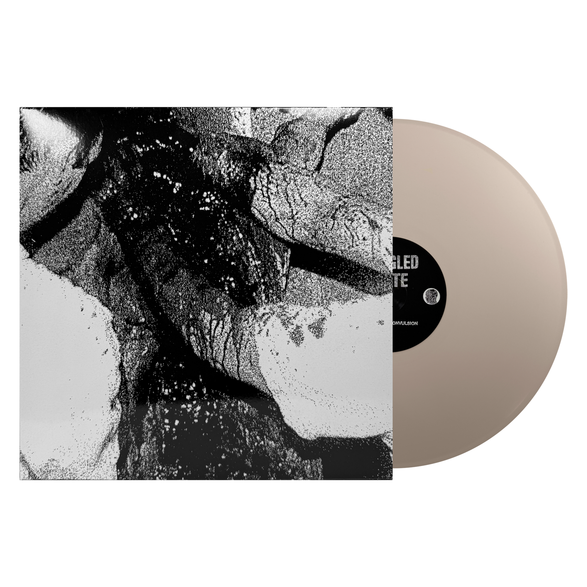 Mangled State "Post Mortem Convulsion"