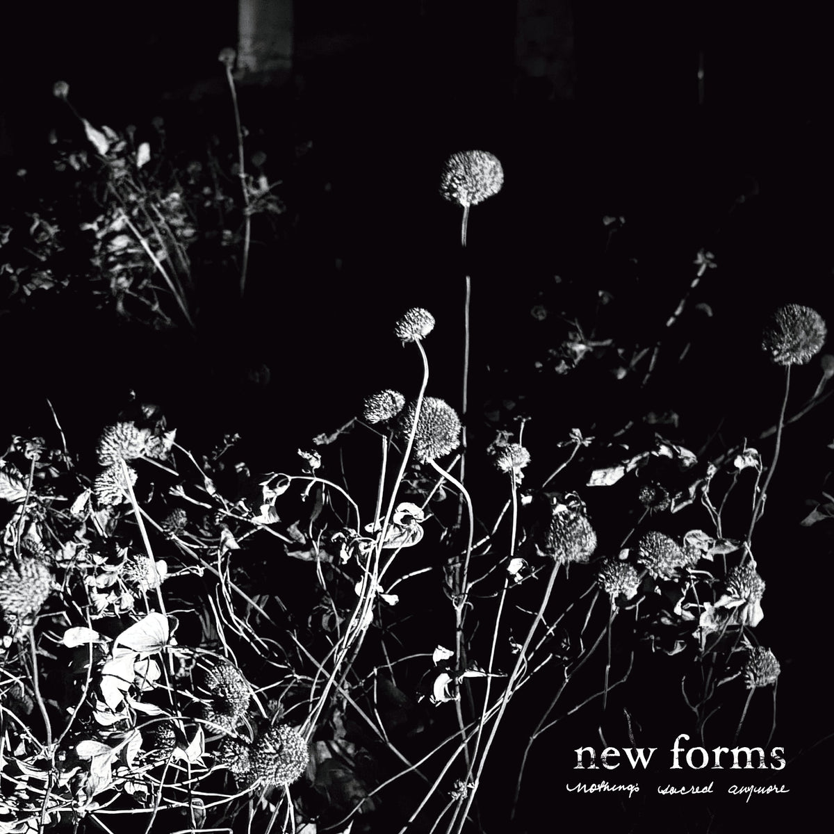 New Forms "Nothing's Sacred Anymore"