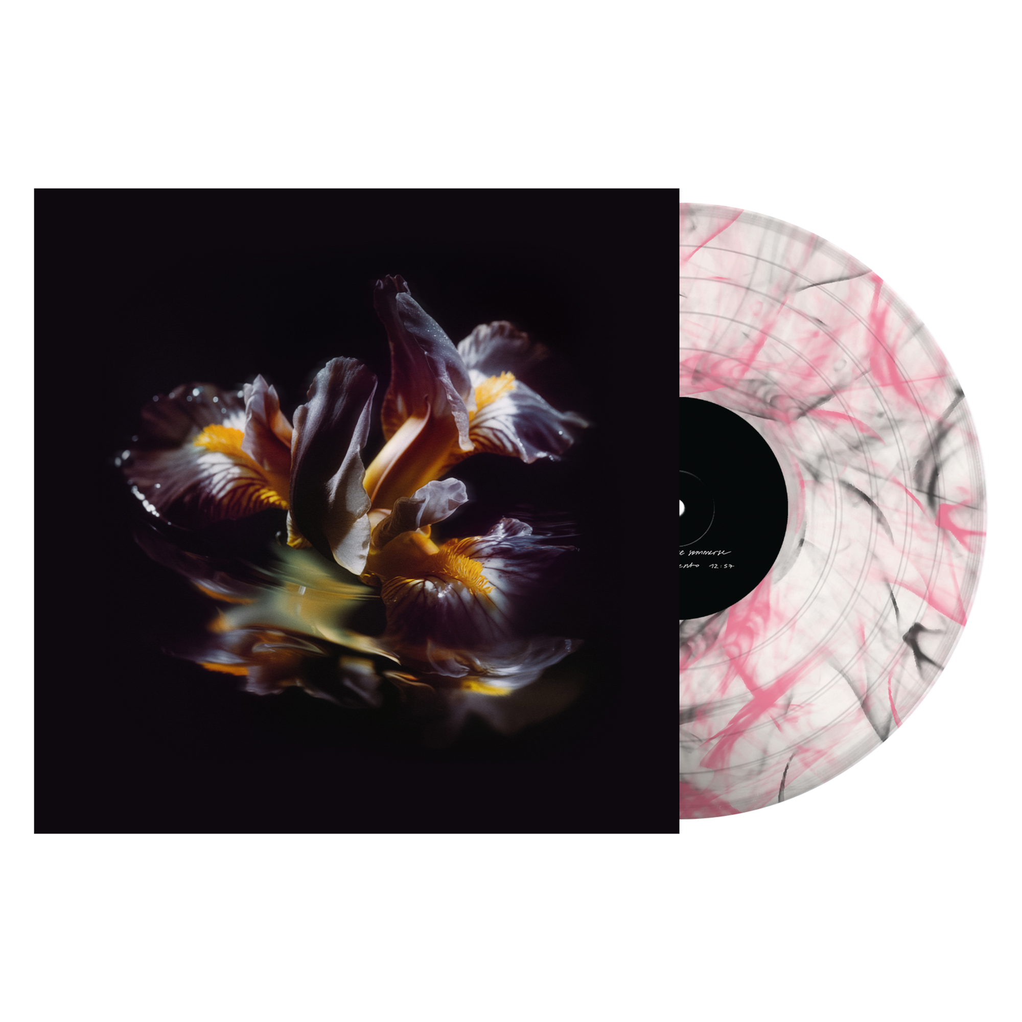 Raein "Forme Sommerse"