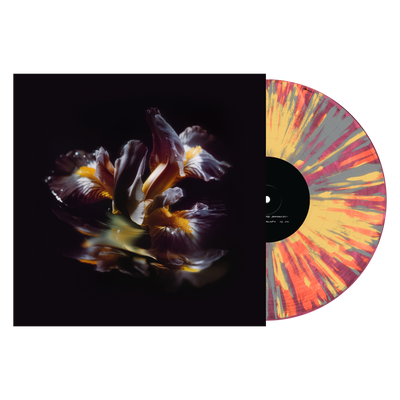 Raein "Forme Sommerse"