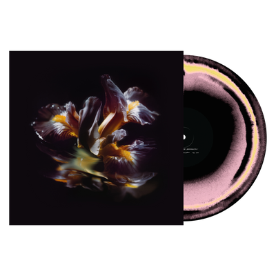 Raein "Forme Sommerse"