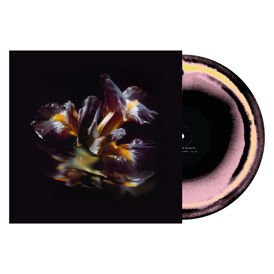 Raein "Forme Sommerse"