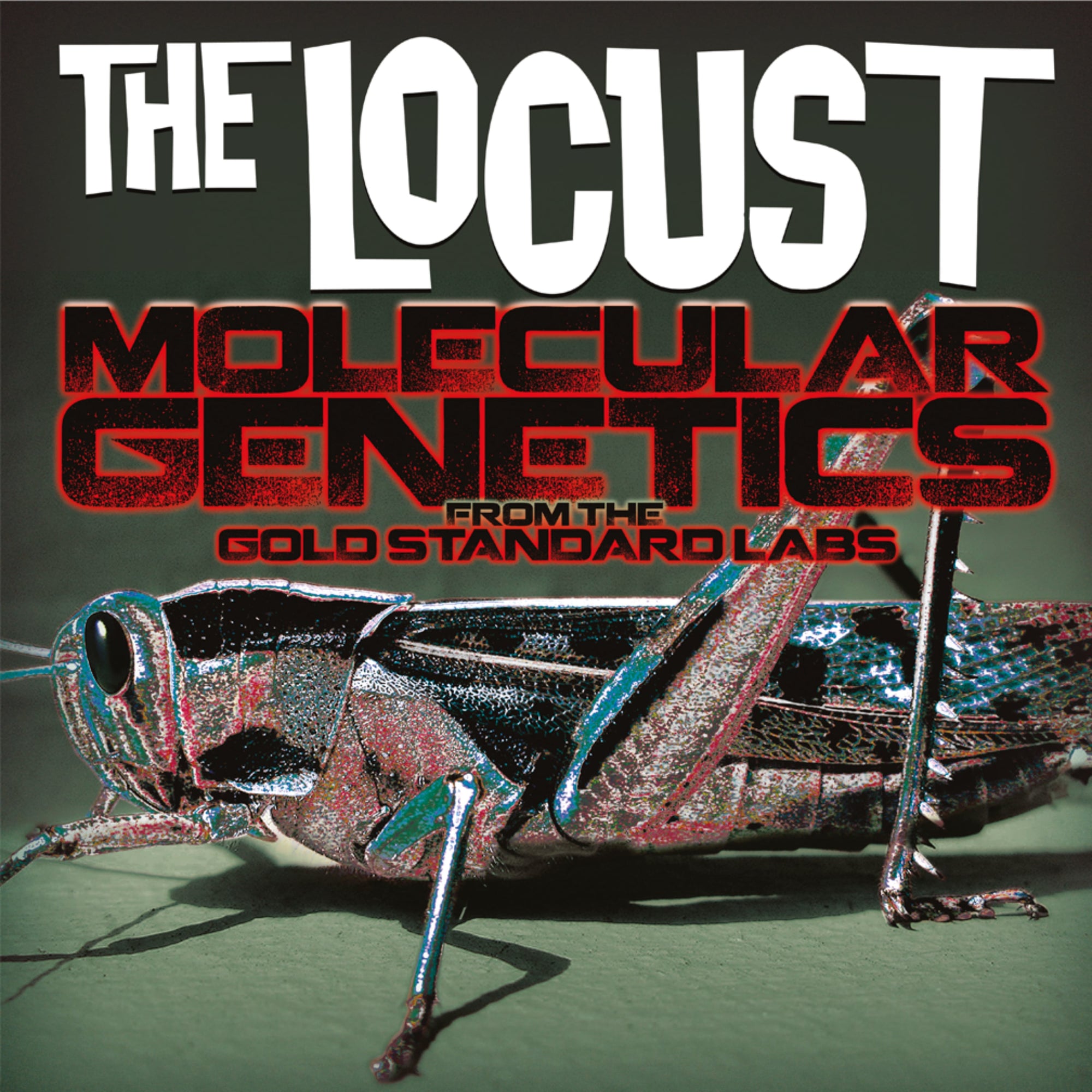 The Locust "Molecular Genetics From the Gold Standard Labs"