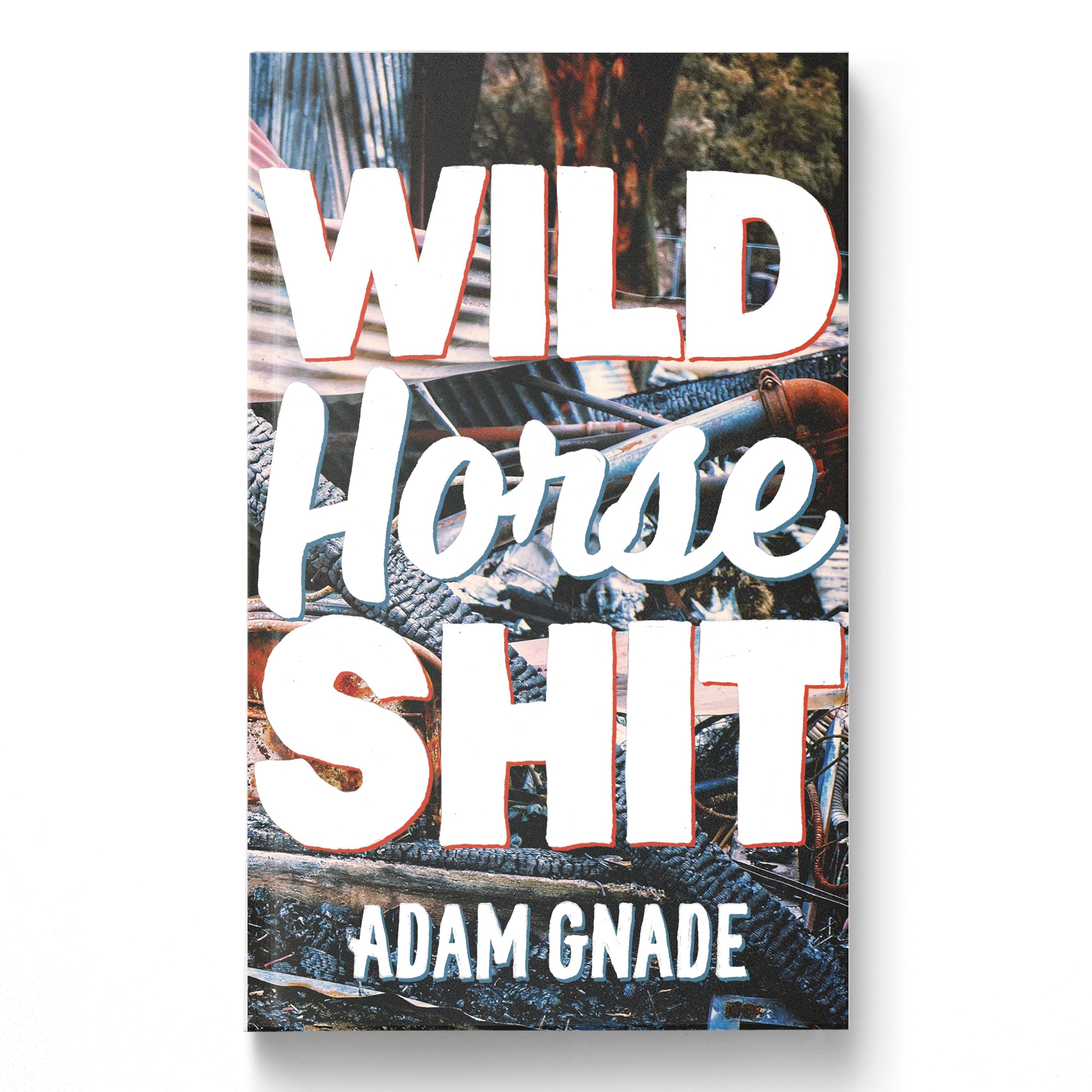 Adam Gnade "Wild Horse Shit"