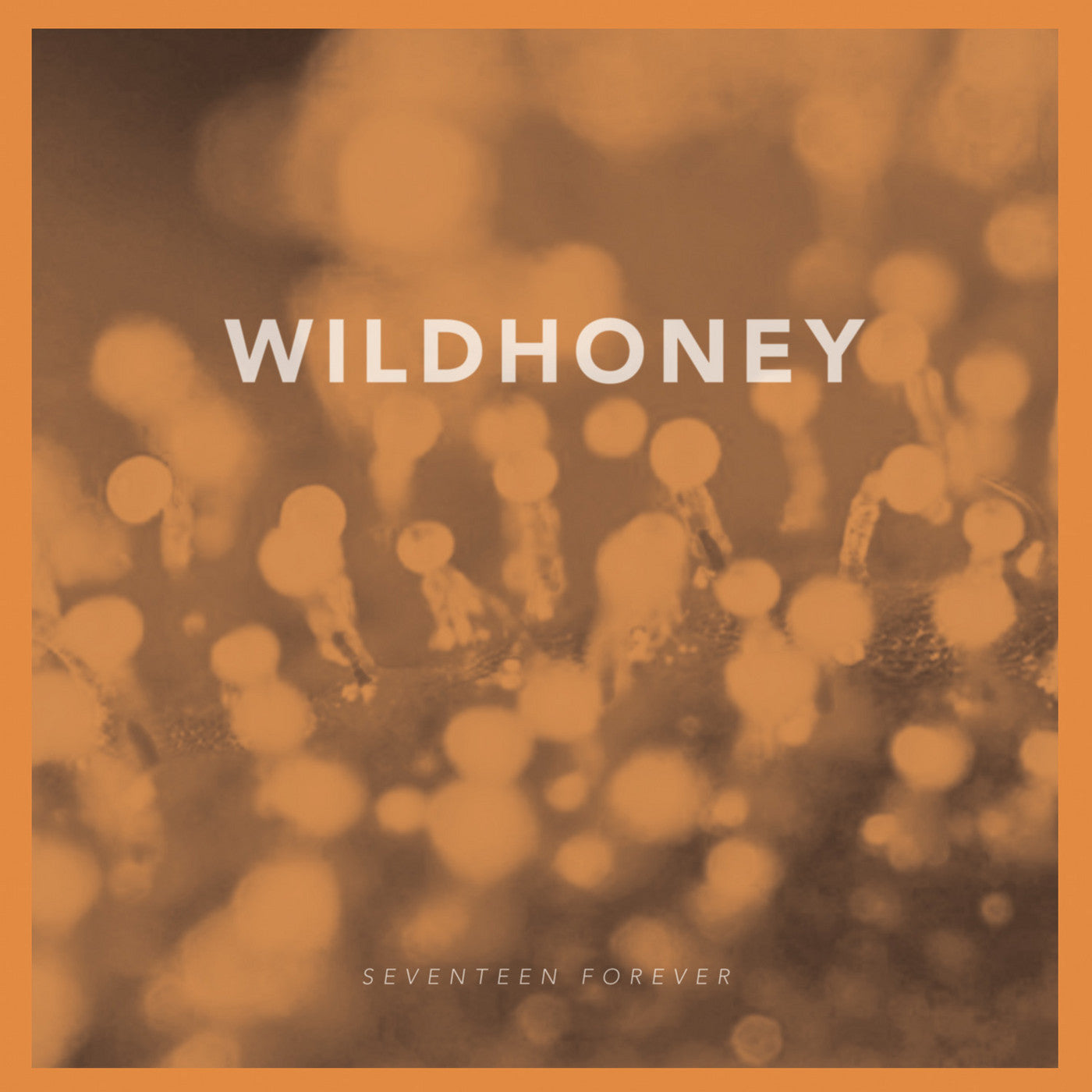 Wildhoney "Seventeen Forever"