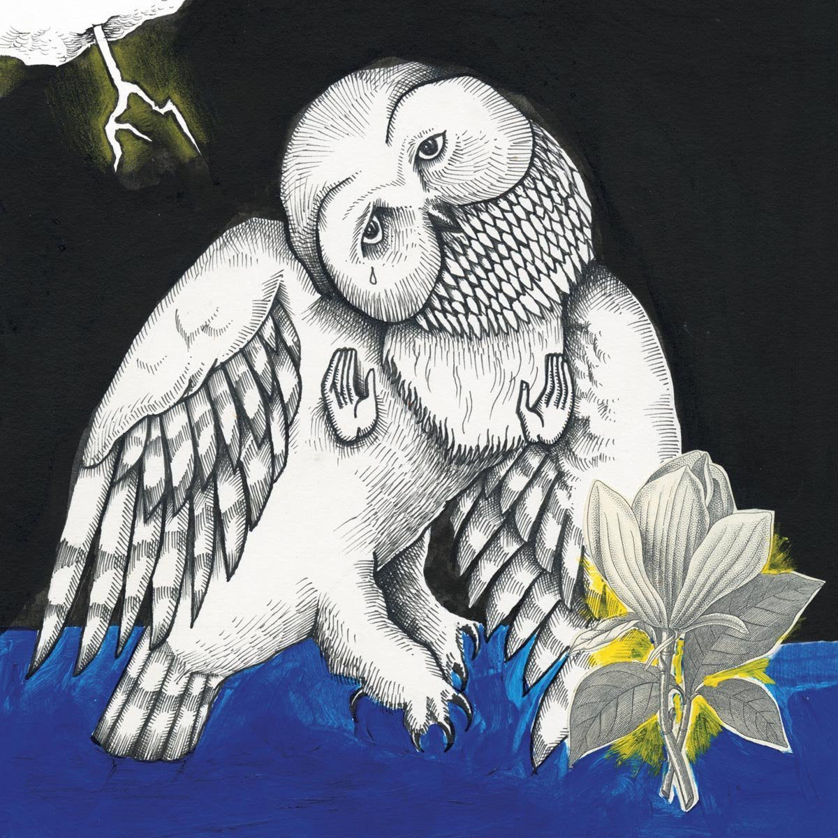 Songs: Ohia "Magnolia Electric Co. (Deluxe Reissue)"