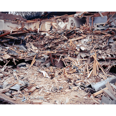 Reid Haithcock "Continual Disaster: Ruins" Giclee Print