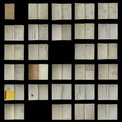 Crime In Stereo "Selective Wreckage"