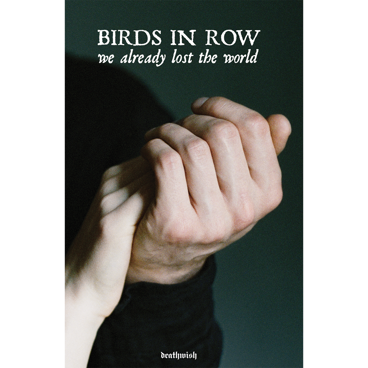 Birds In Row "We Already Lost The World" Poster