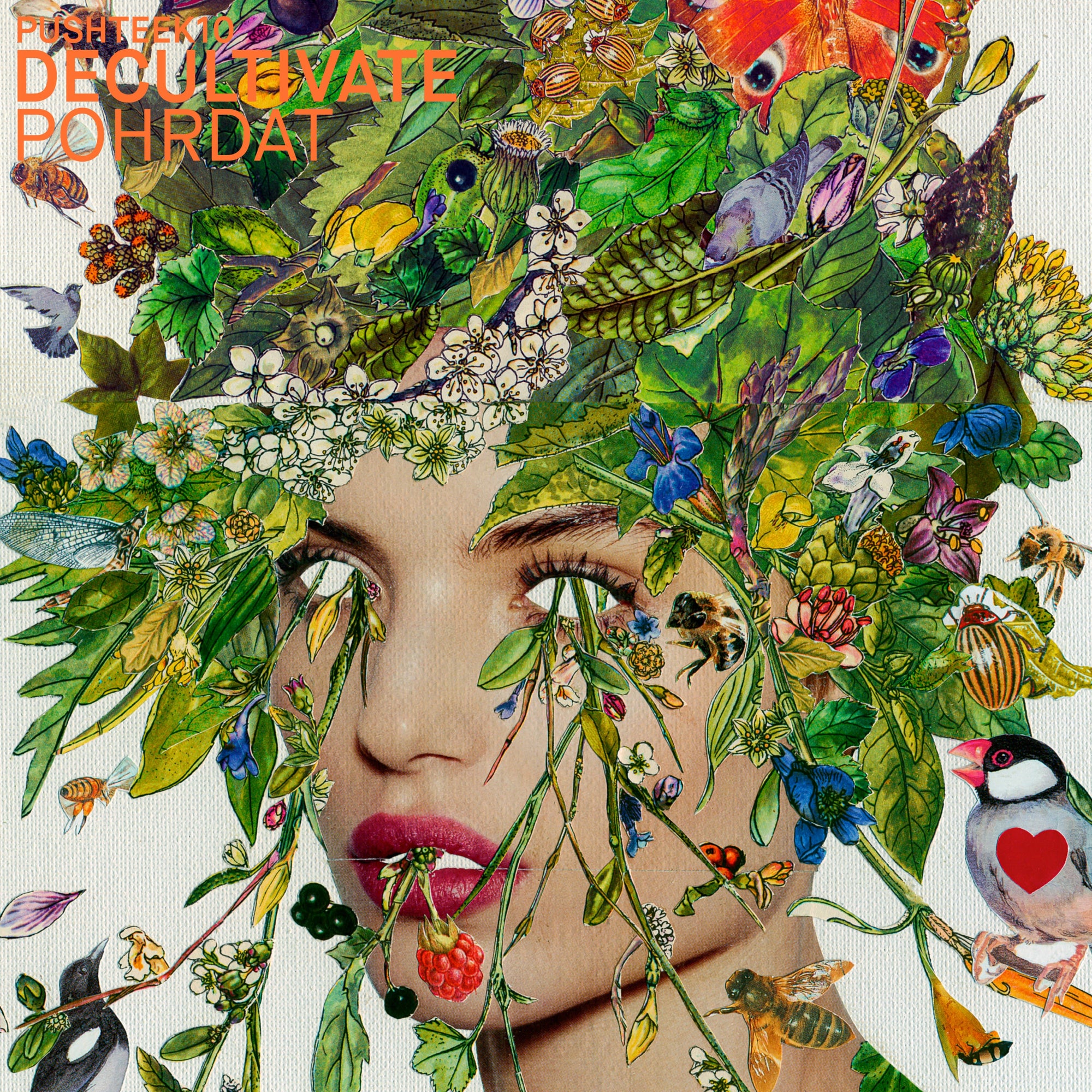 Decultivate "Pohrdat"