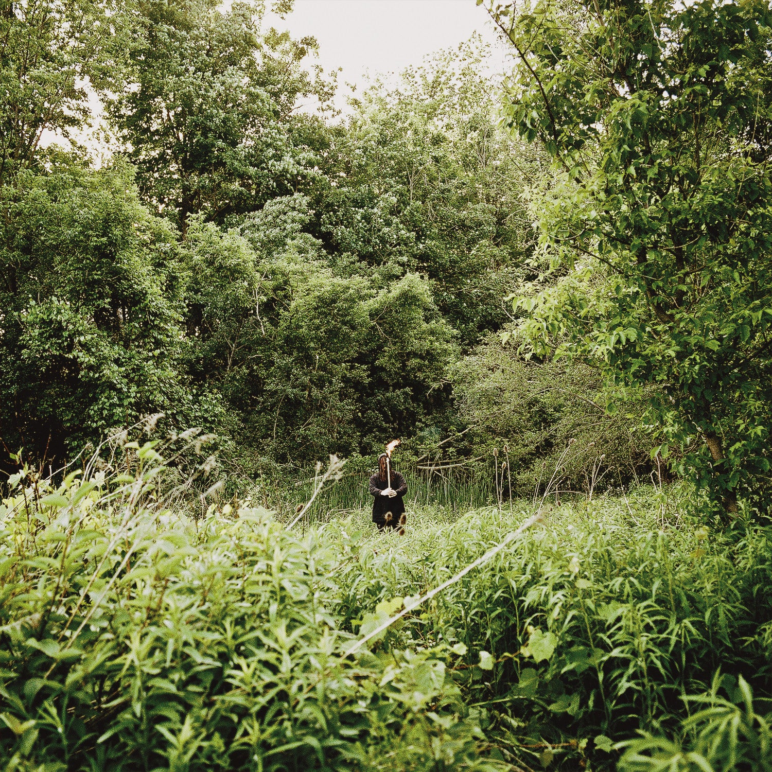 Exalt "Pale Light"