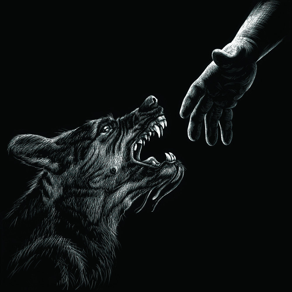 Generation Of Vipers "Coffin Wisdom"