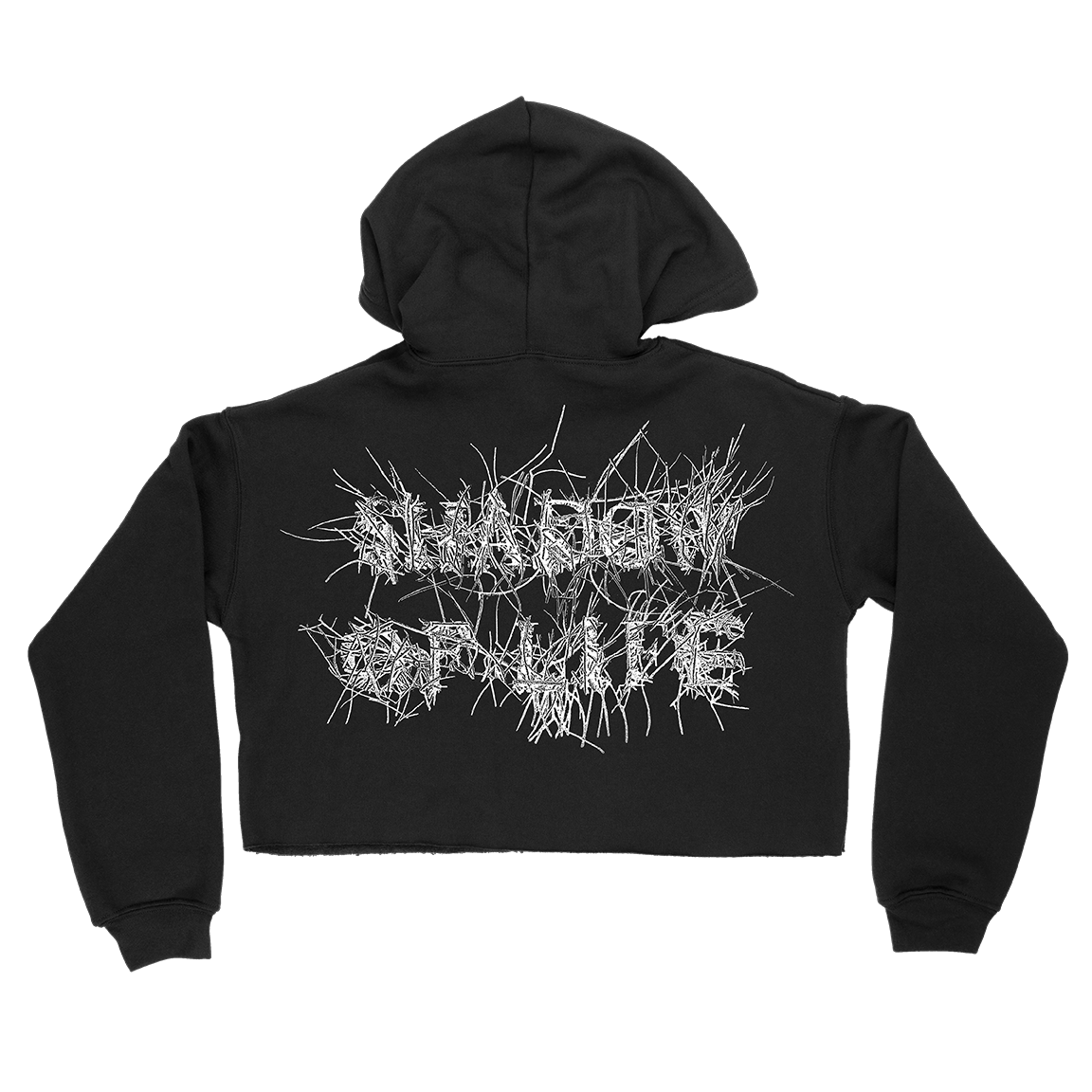 Umbra Vitae "Mark McCoy Logo" Black Crop Hooded Sweatshirt