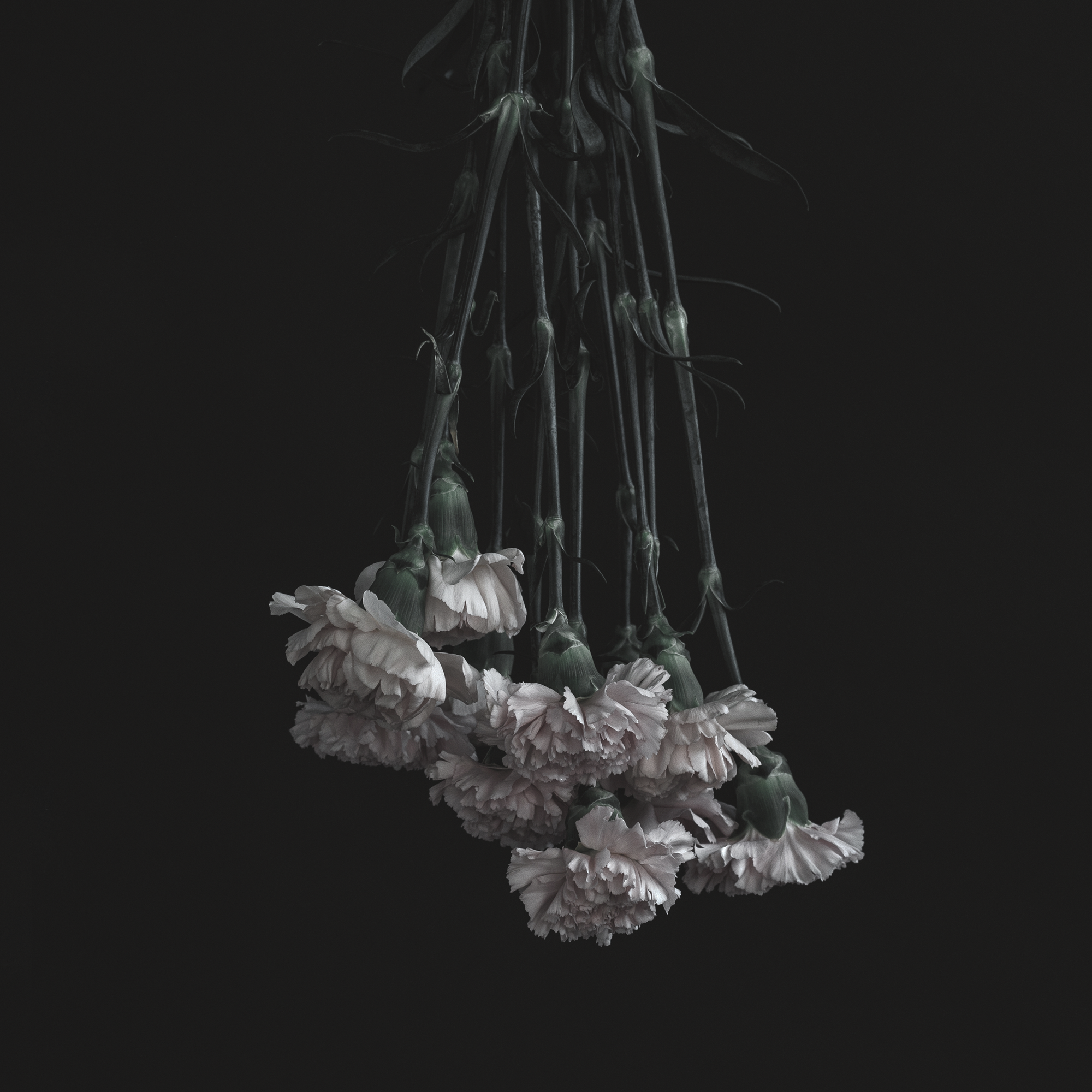 Horsewhip "Laid To Waste"