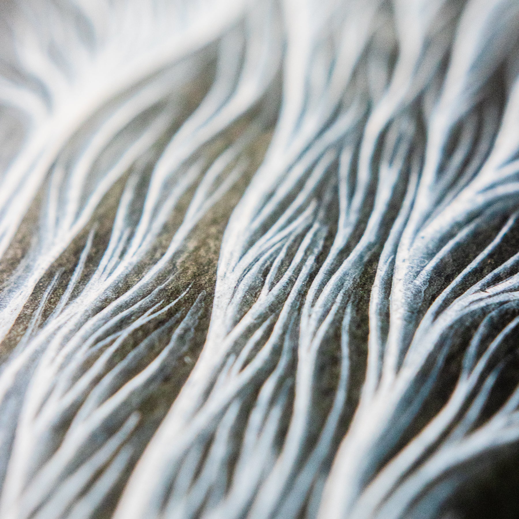 Thomas Hooper "Fires Within Fires" Giclee Print