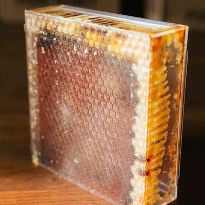 The Martin Hives Honey Co. "Connecticut Honey Comb"