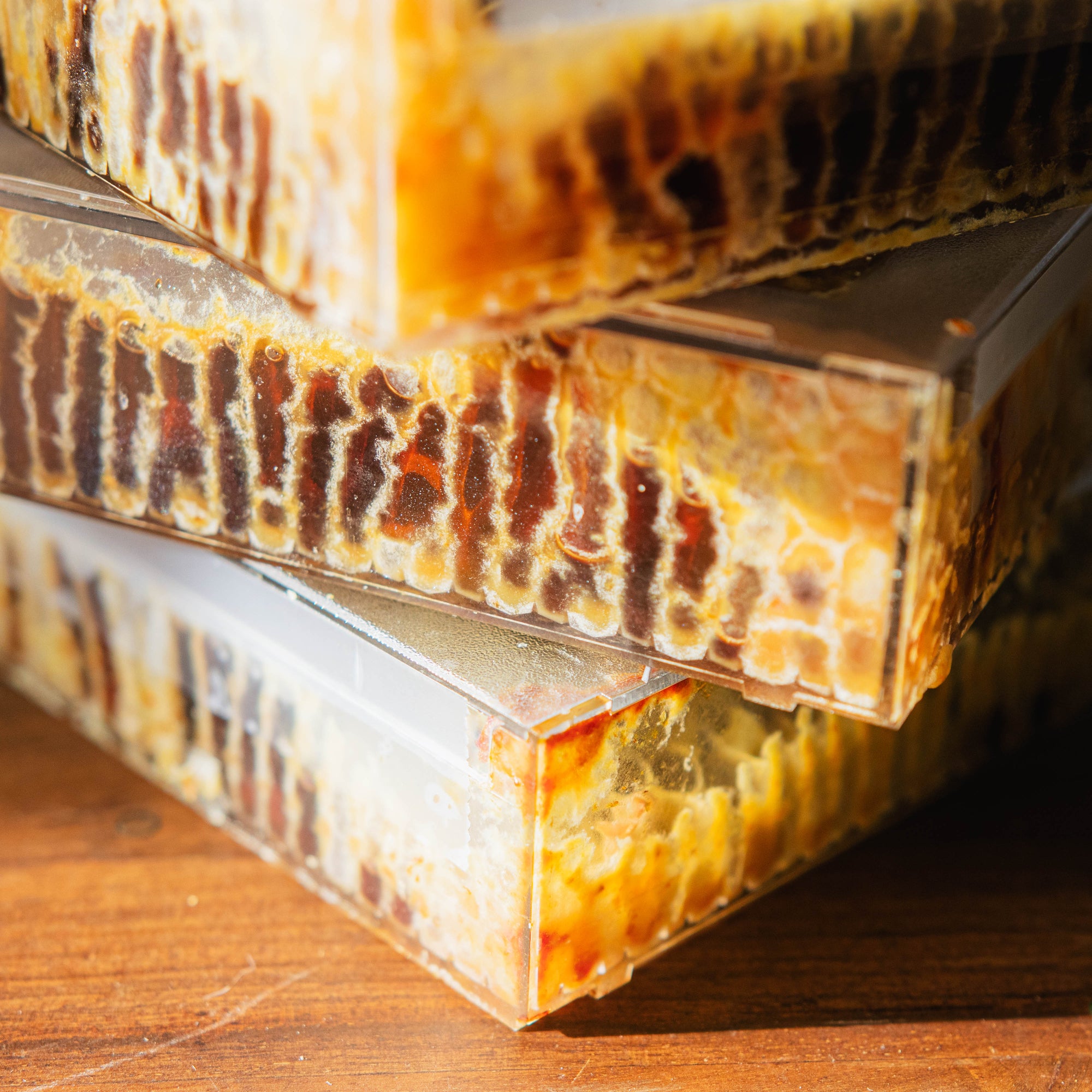 The Martin Hives Honey Co. "Connecticut Honey Comb"
