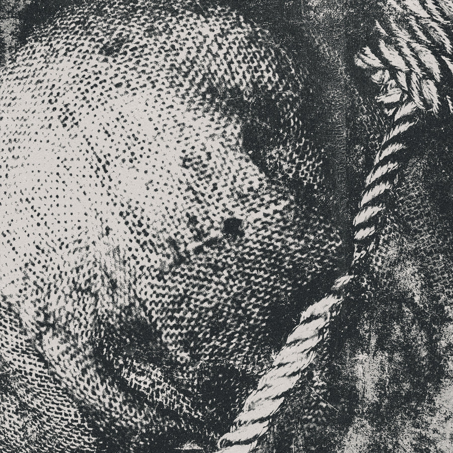 Lifesick "Swept In Black"