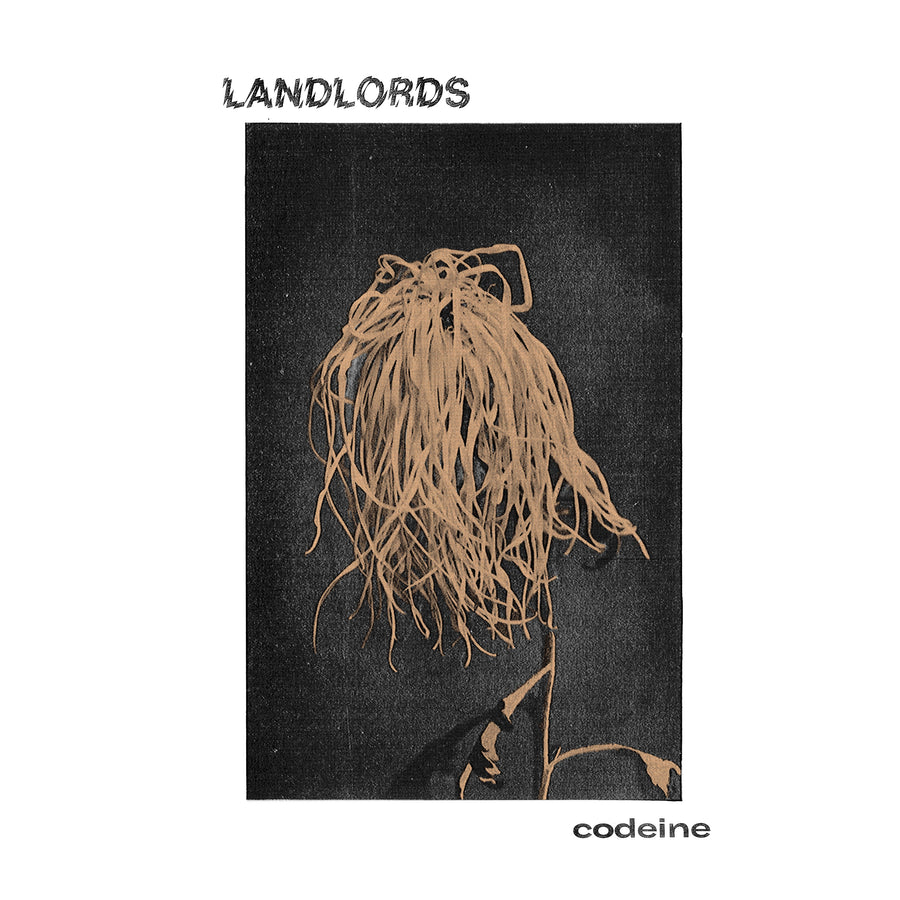 Landlords "Codeine"
