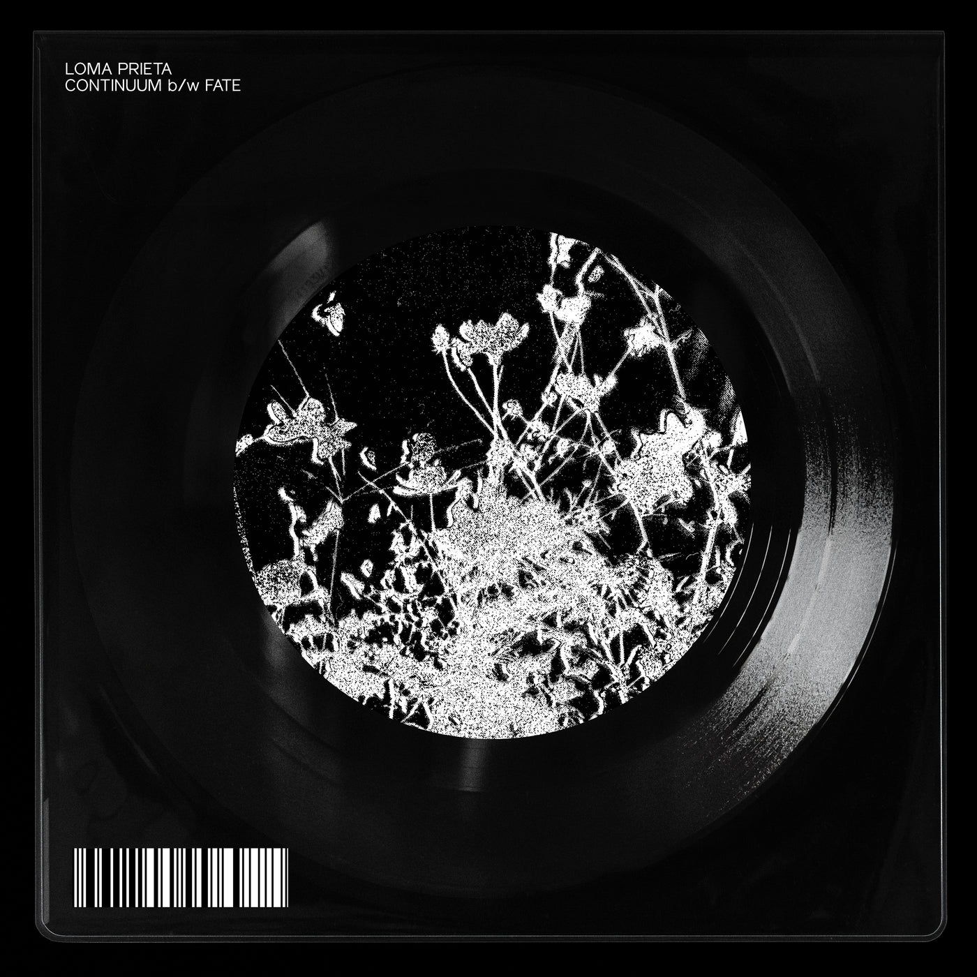Loma Prieta "Continuum b/w Fate"