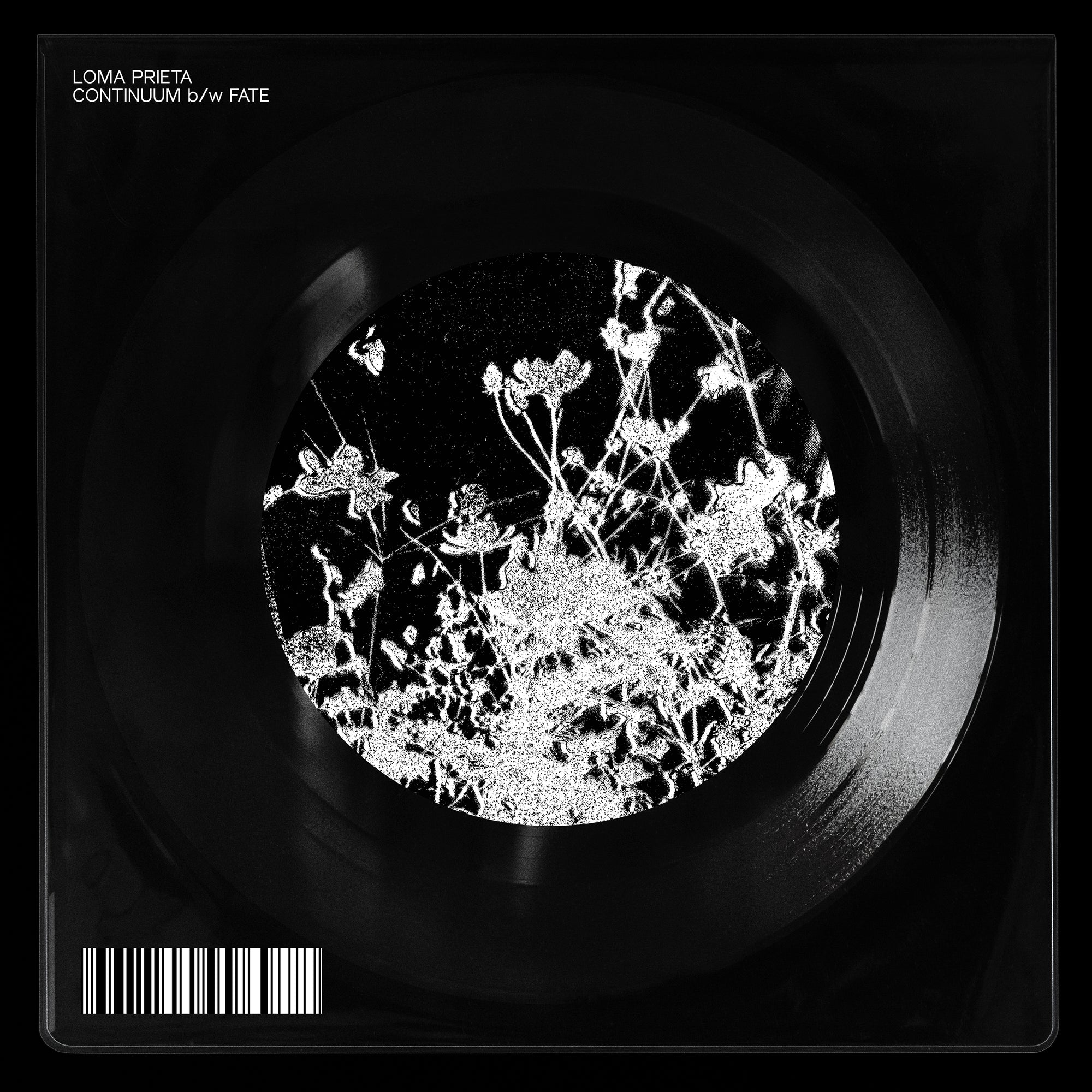 Loma Prieta "Continuum b/w Fate"