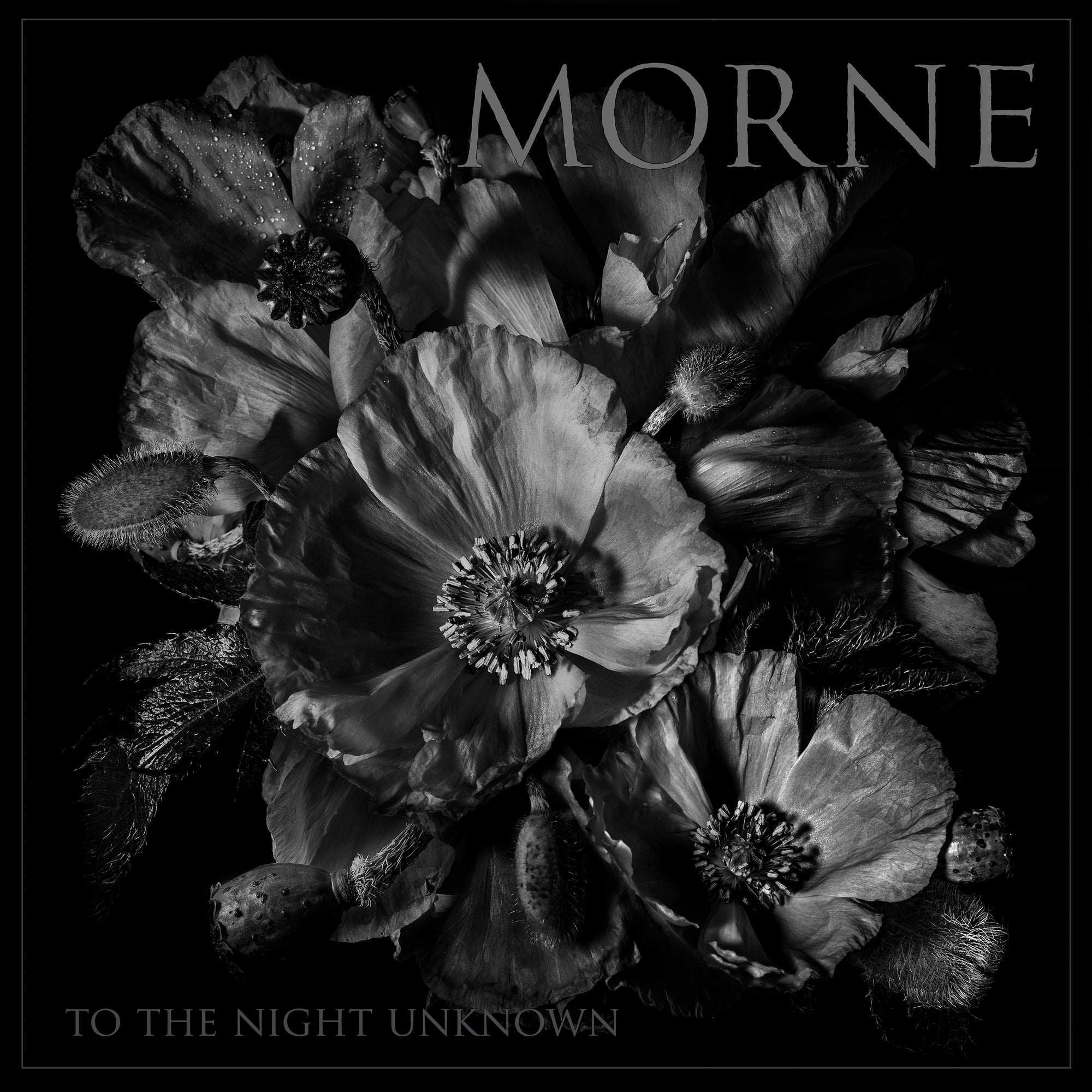 Morne "To The Night Unknown"