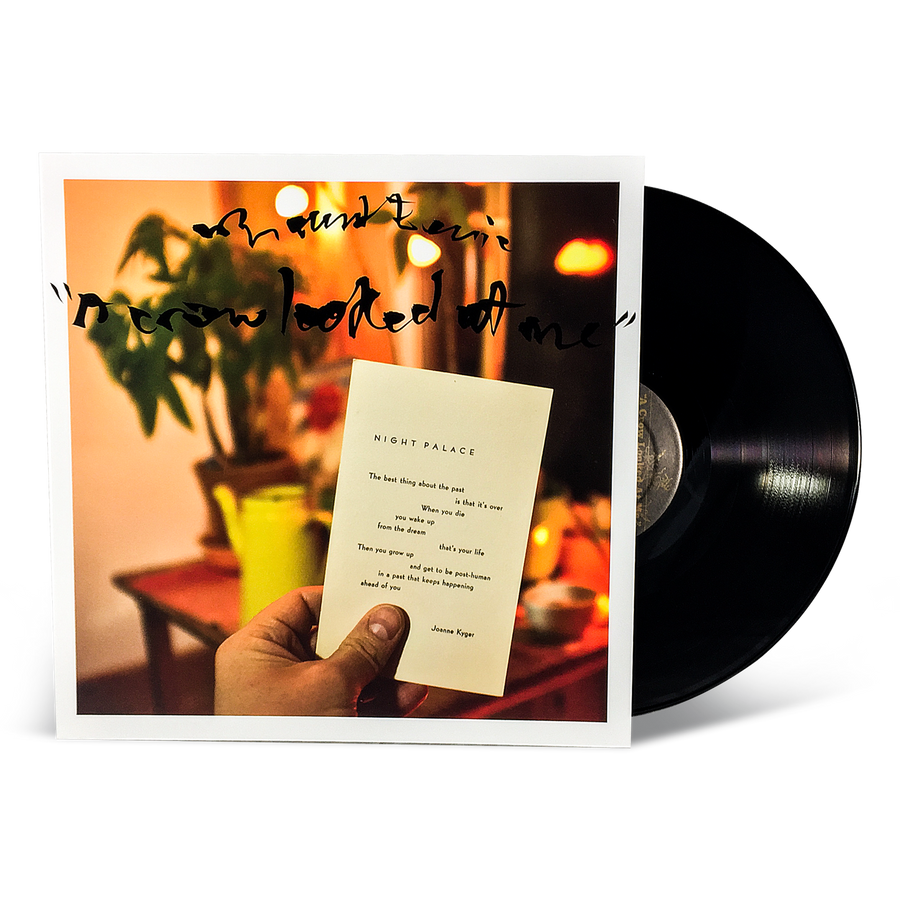 Mount Eerie "A Crow Looked At Me"