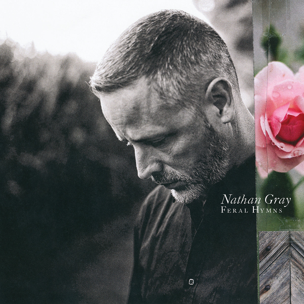 Nathan Gray "Feral Hymns"