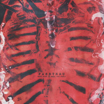 Passthru "What Does It Make You Feel?"