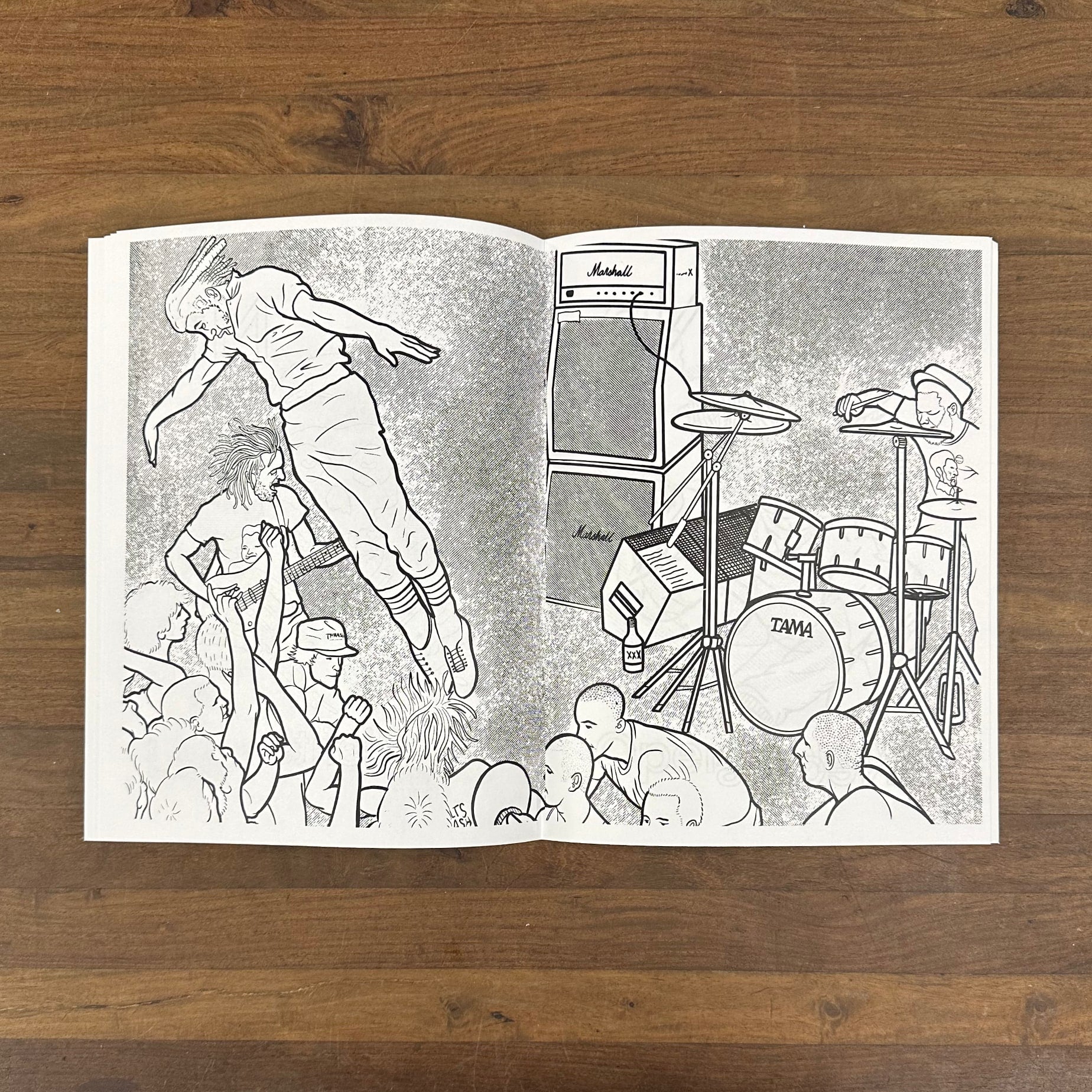 The Punk Coloring Punk