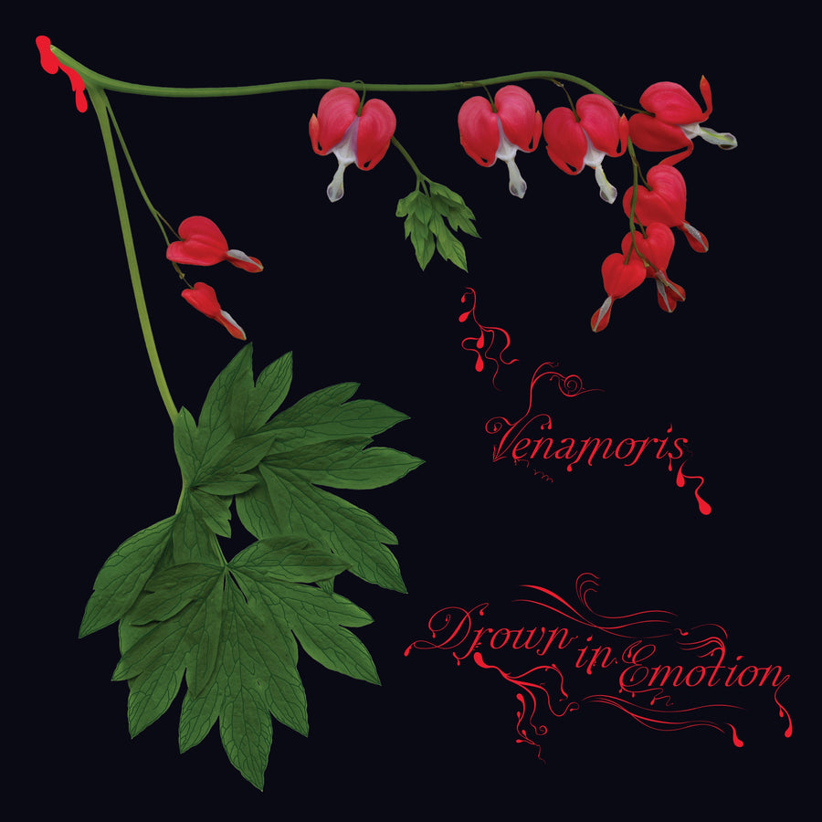 Venamoris "Venamoris"