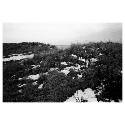 Reid Haithcock "Winter Series: Dunes" Giclee Print