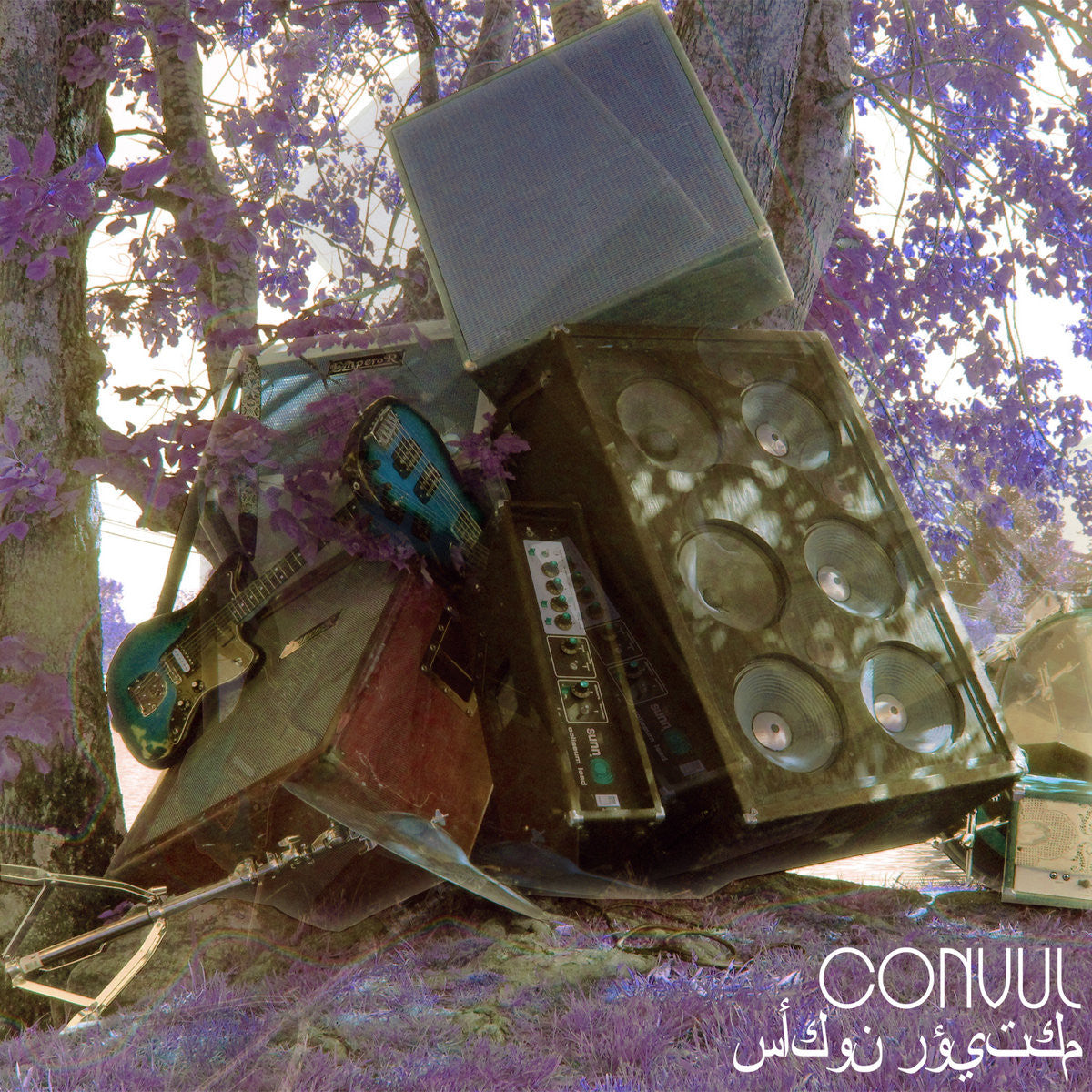 Convul "I'll Be Seeing You"