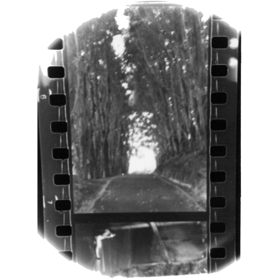 Seahaven "Winter Forever"