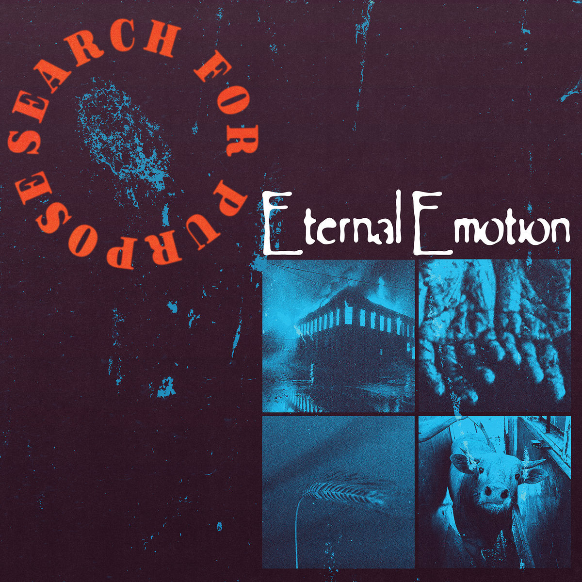 Search for Purpose "Eternal Emotion" (Repurposed)