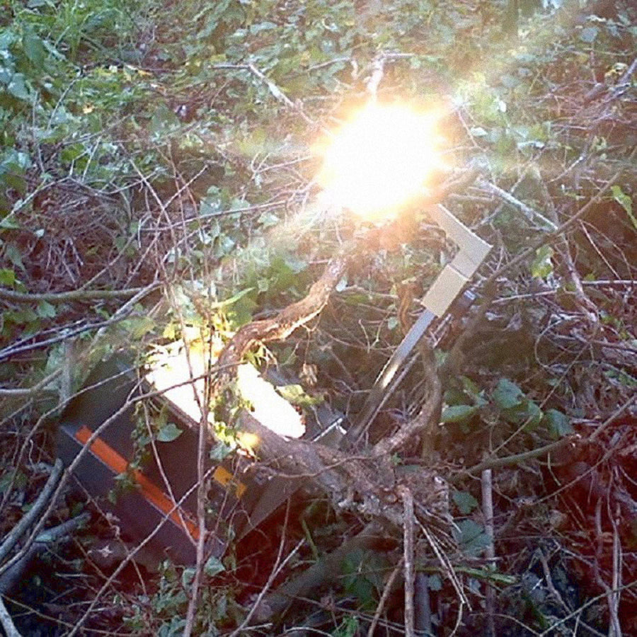 The Helm "Symptoms Come To Light"