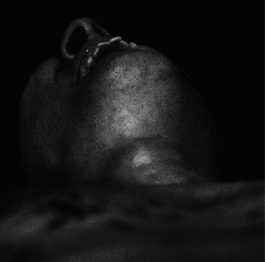 Holy "Seclusion MMXIV"