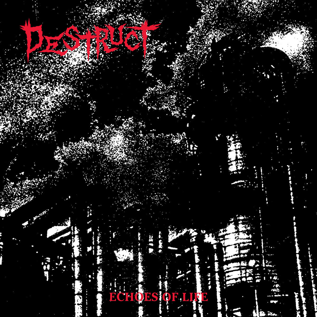 Destruct "Echoes Of Life"