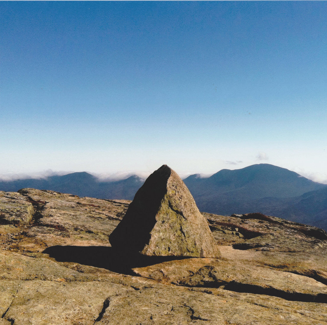 Death To Tyrants "Untitled"