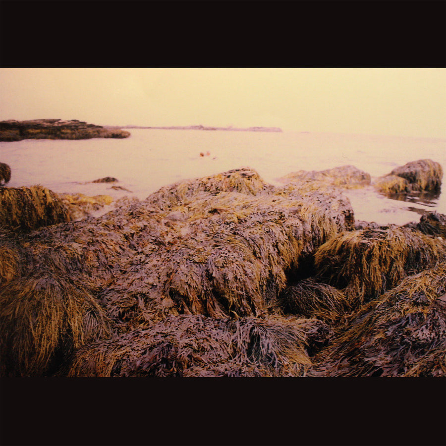 Trust Fall "Secret Keeper"