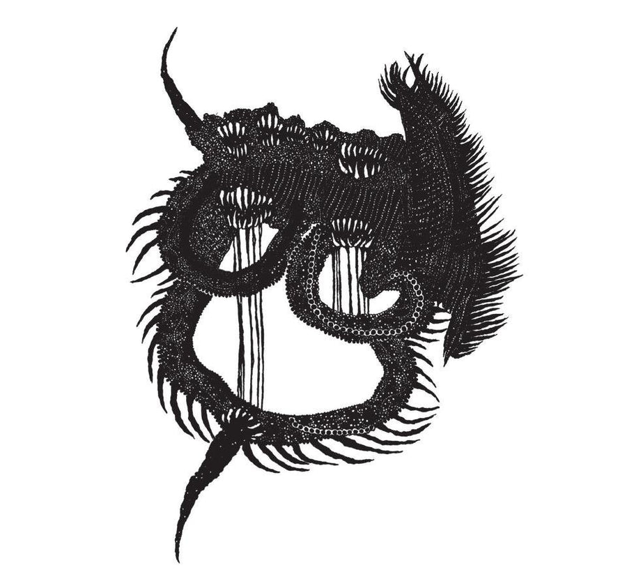 Stomach Earth "Self Titled"