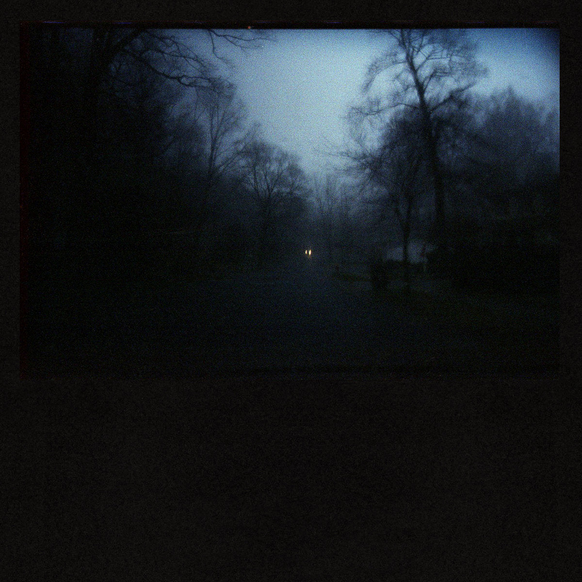 American Pleasure Club "Fucking Bliss"