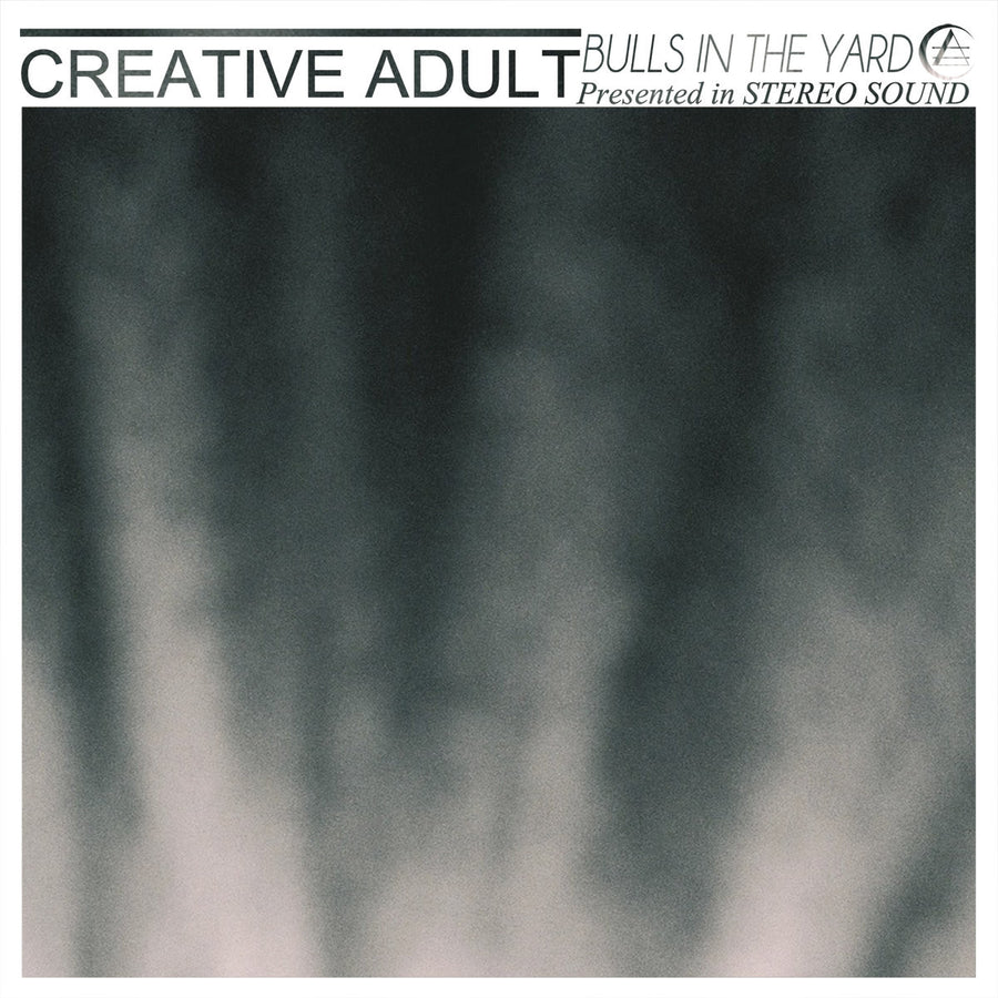 Creative Adult "Bulls In The Yard"