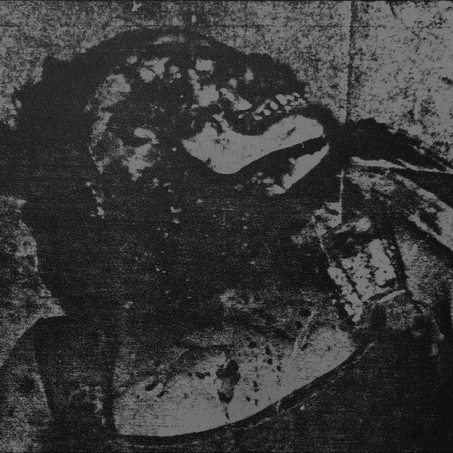 Mutilated Tongue "Fuel The Flame"